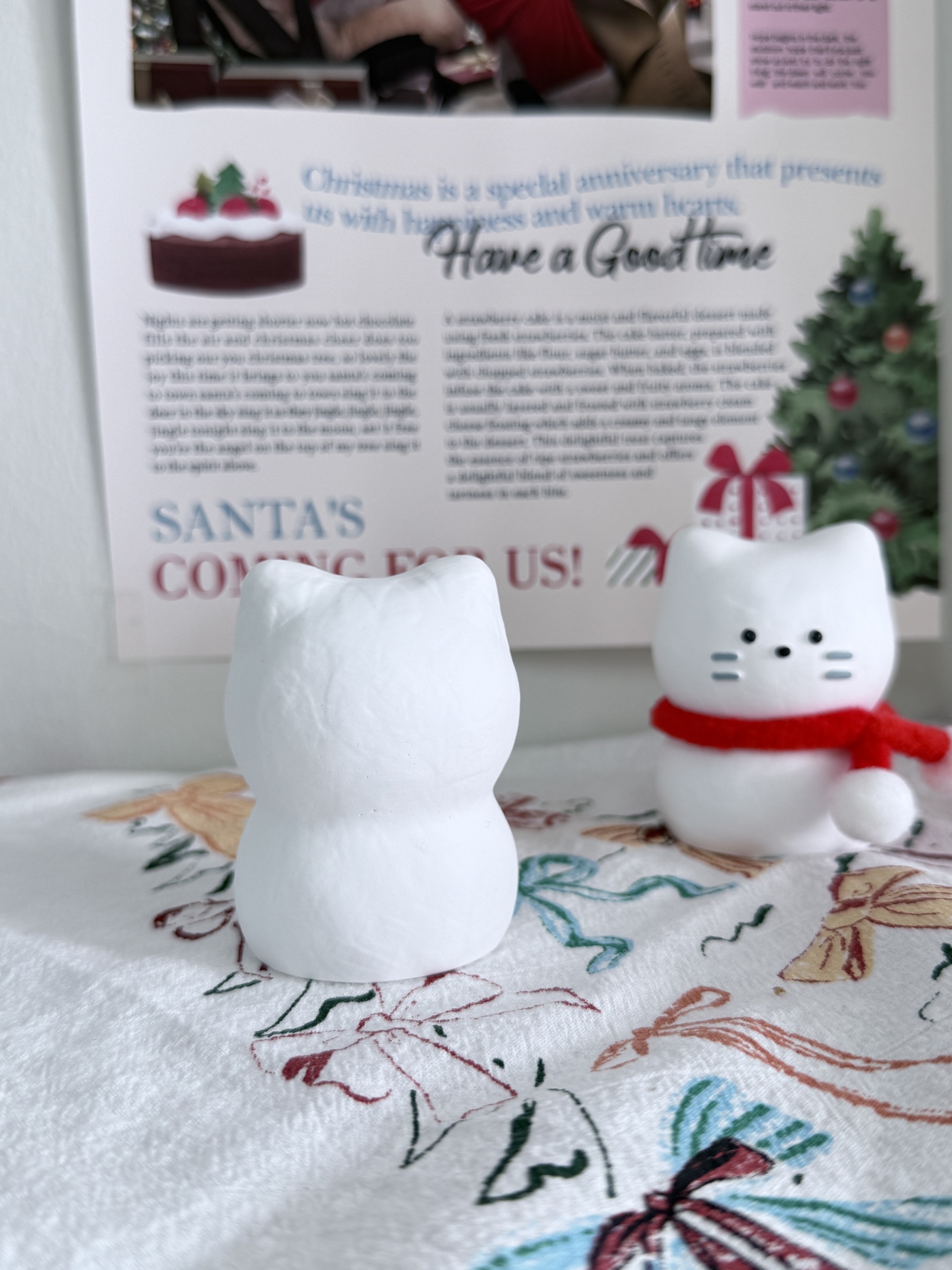 image_D549B8F1-4FEE-4EC4-8DD7-D428D9A13CF9_1764077303