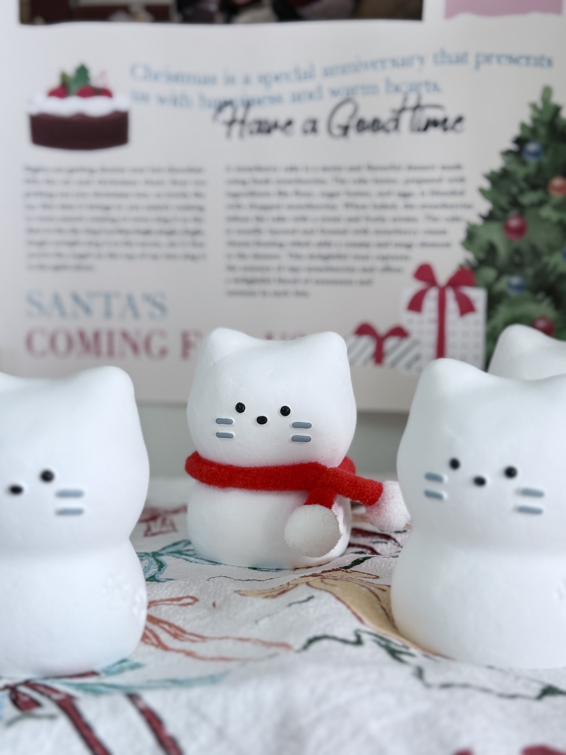 image_1A792DBF-668F-400E-AE70-7E48A2E7B1B5_1764077369