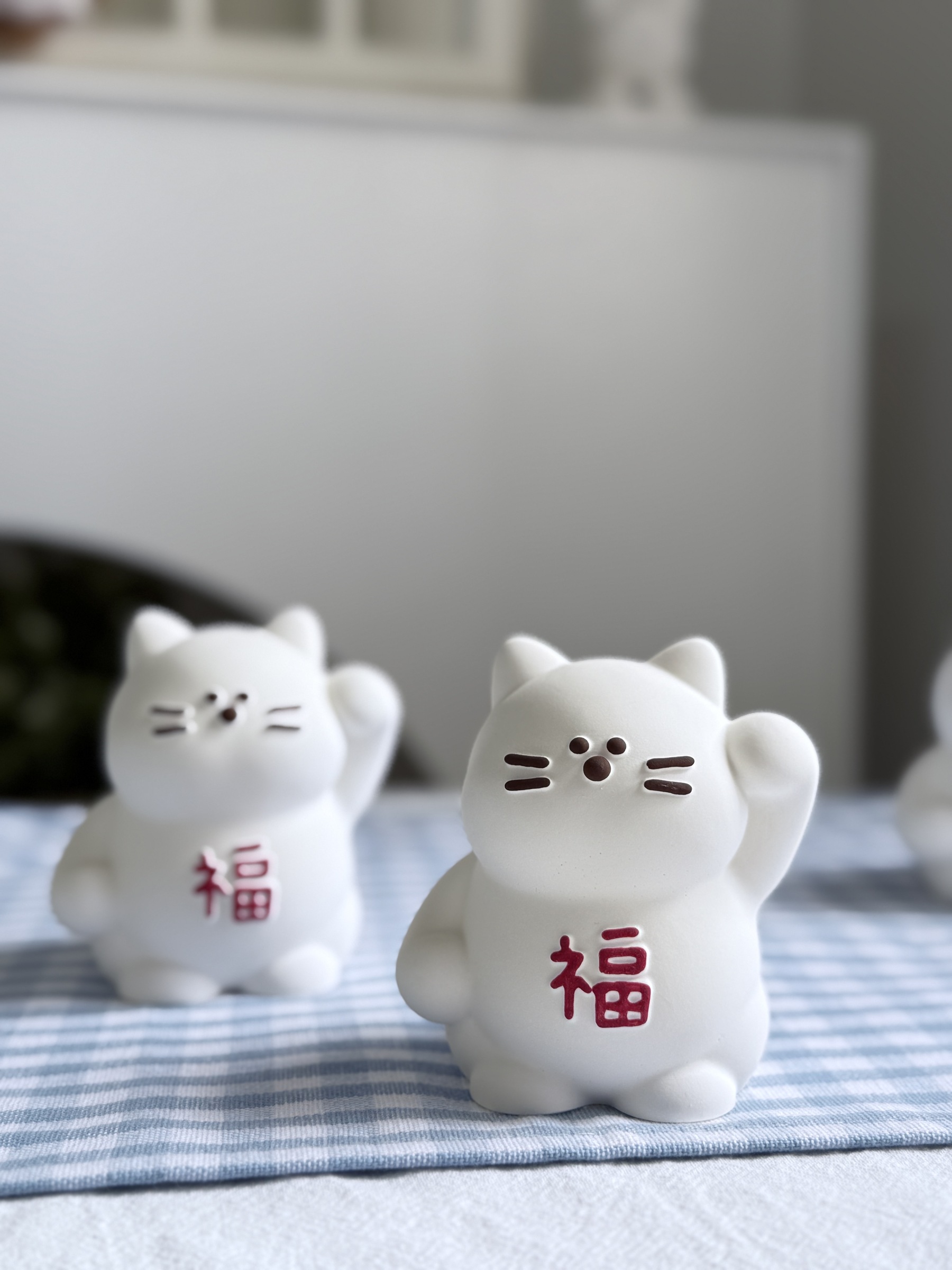 image_C29C571E-6DCD-4E4A-9820-5A1CECD5B50C_1768440185