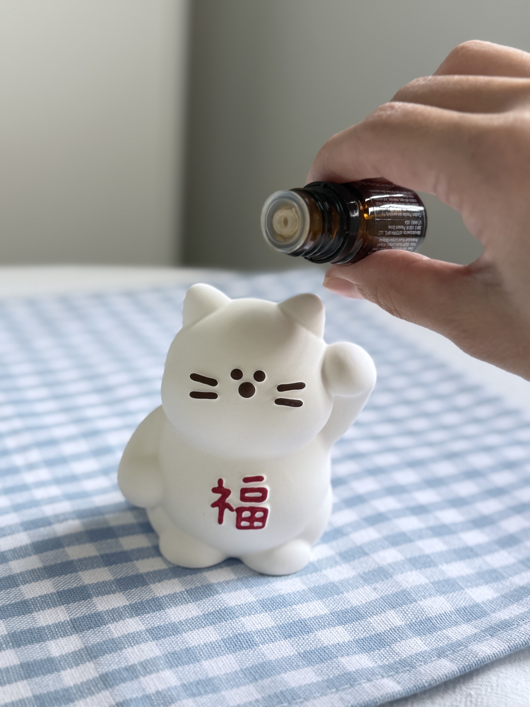 image_750F8831-A7EA-474F-B600-BE461F977E15_1768440890