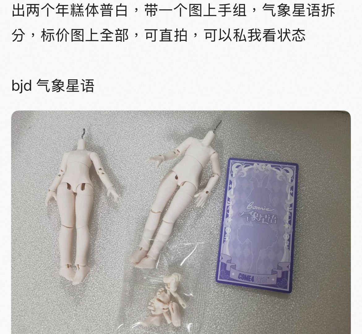 『小麵』2026專拍46_氣象素體2個
