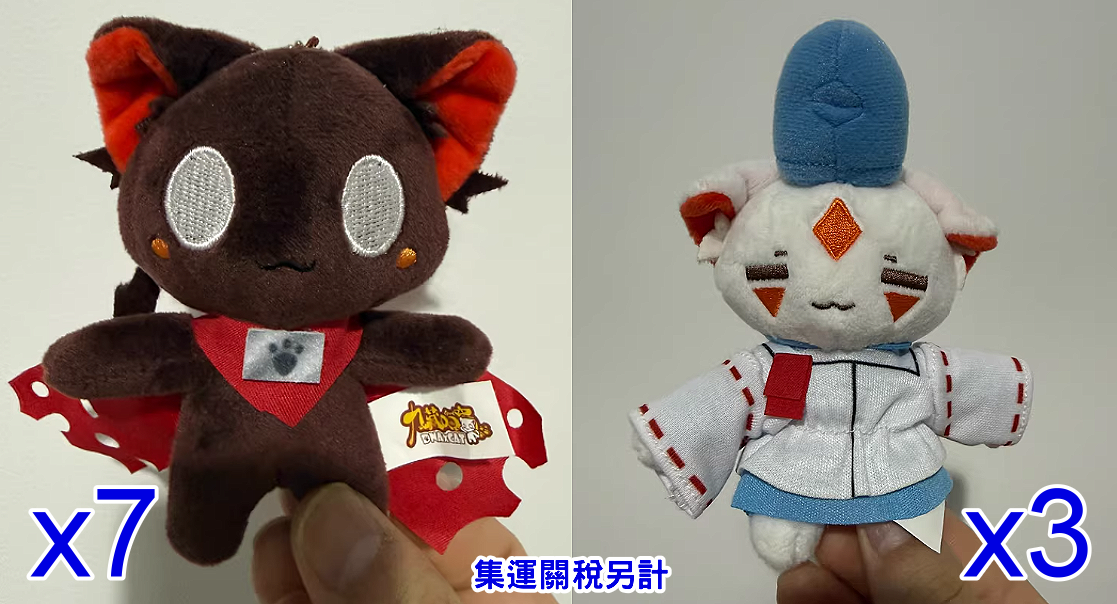 『夏弦喵』專拍2_九藏喵窩晴信3隻、窩九藏7隻_2025.11.17