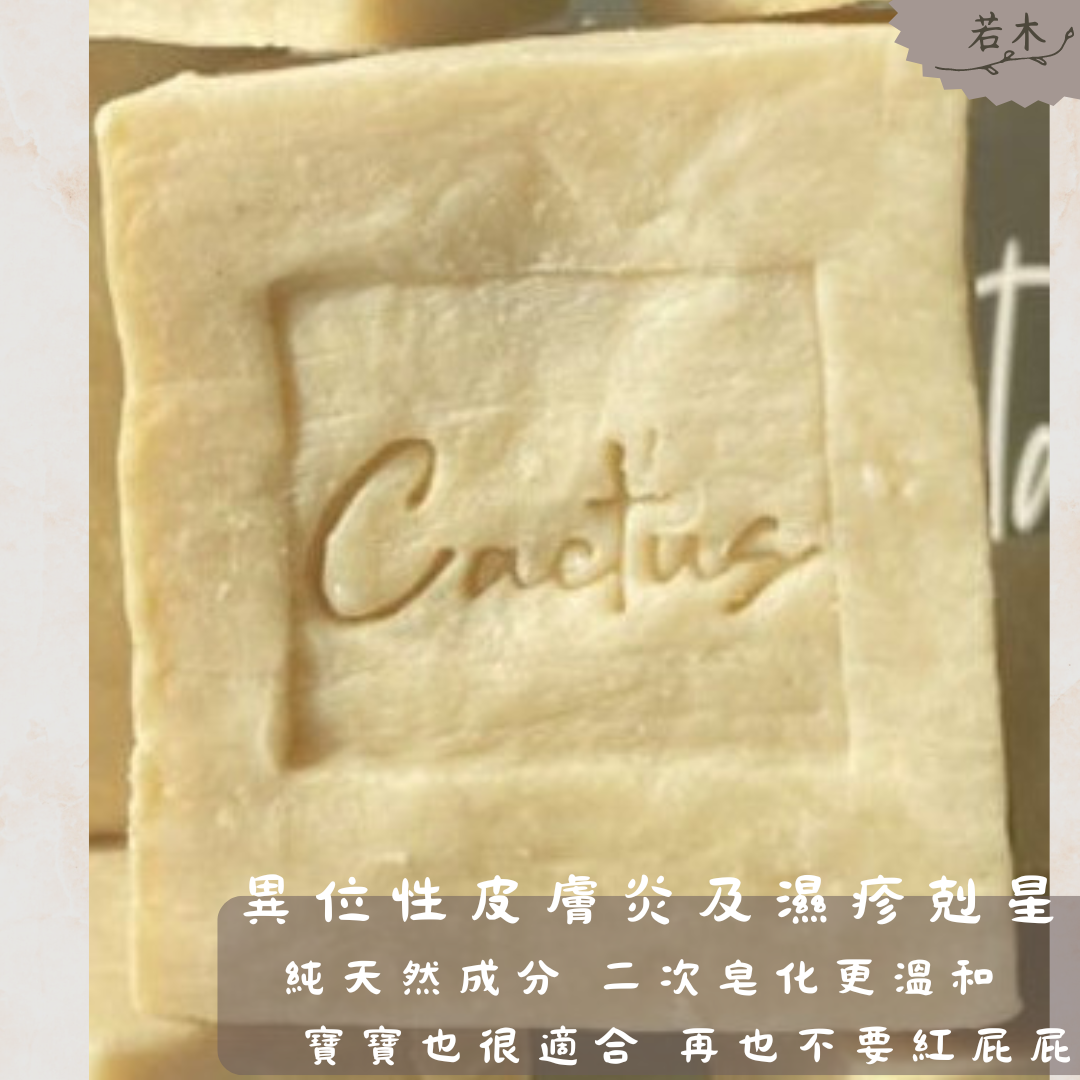 仙人掌 (1)