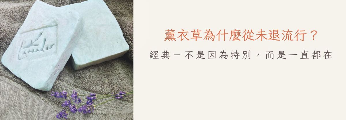 薰衣草為什麼從未退流行?|經典-不是因為特別,而是一直都在