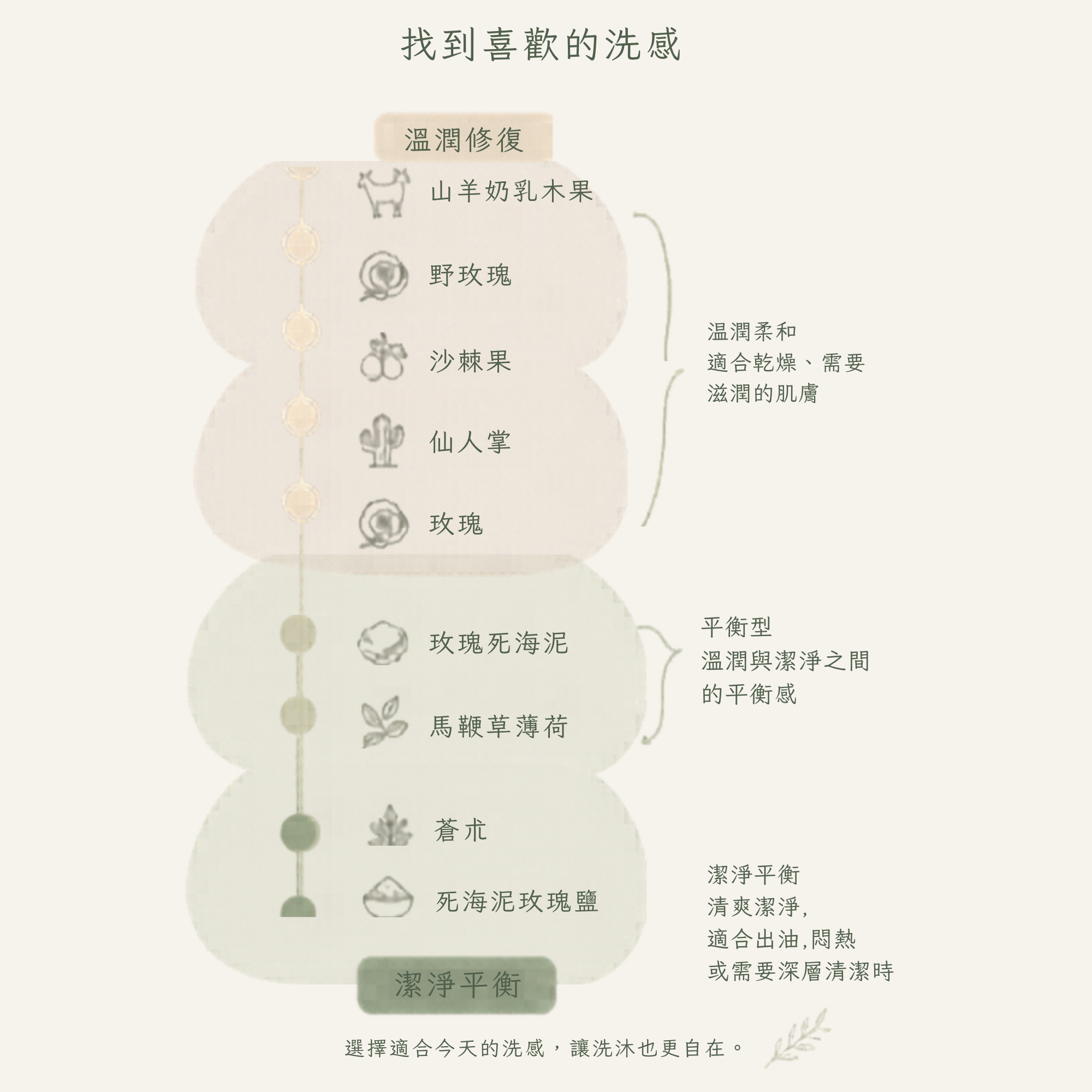 若木研磨皂洗感選擇，從溫潤修復到潔淨平衡