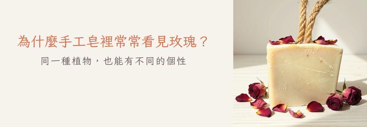 為什麼手工皂裡常常看見玫瑰？｜同一種植物，也能有不同的個性