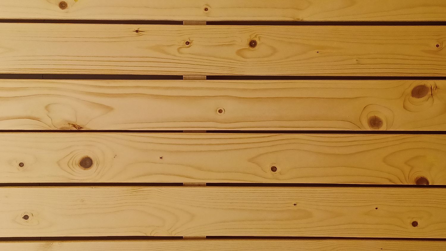 https://cdn.store-assets.com/s/1363718/f/14368201.jpg