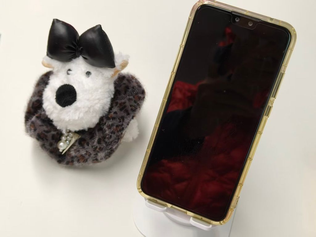 图片_20260310123815_28_2