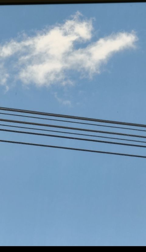 1000005257