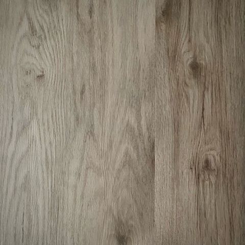 49964416