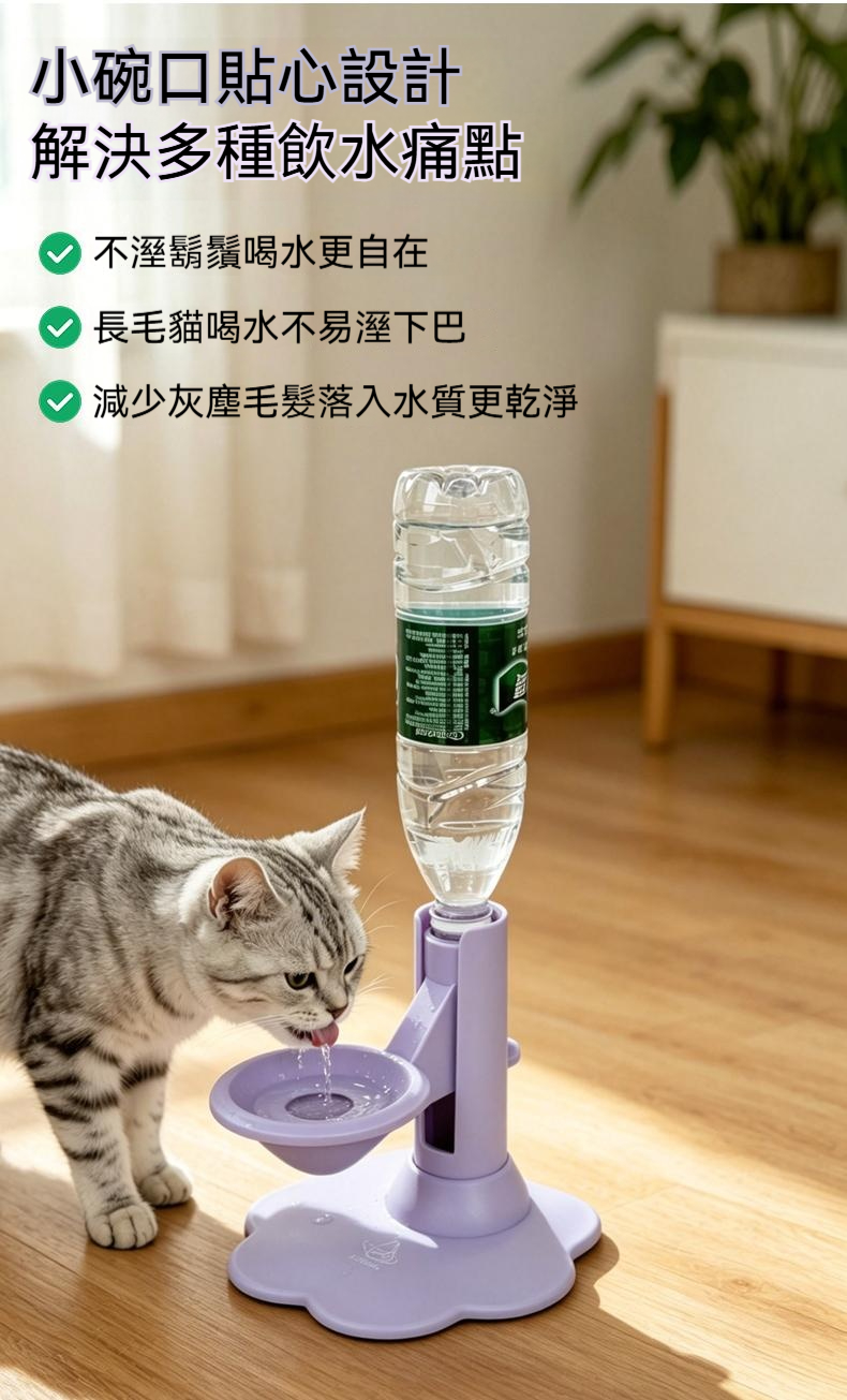 详情图5