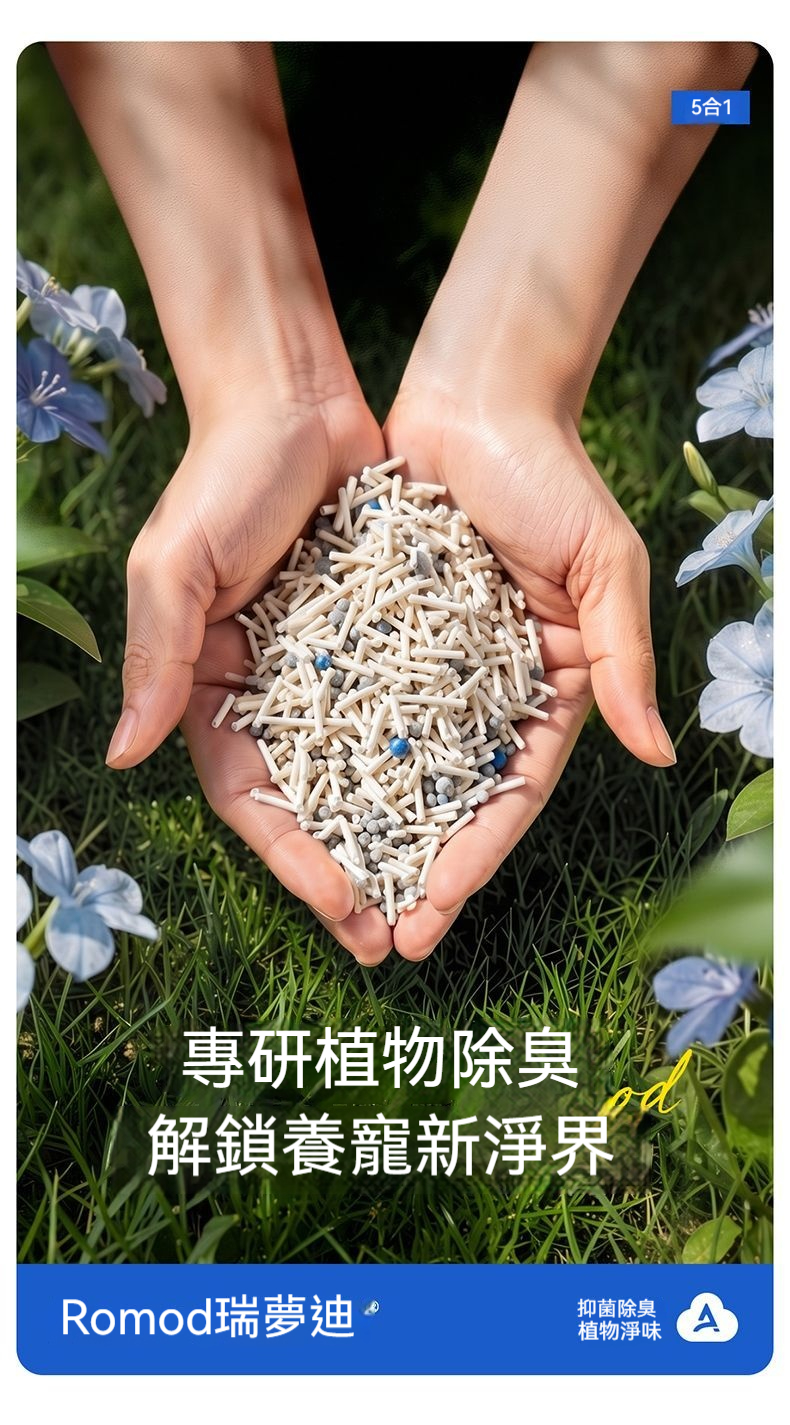 详情图5