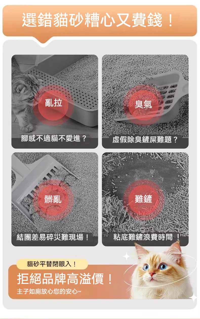 详情图2