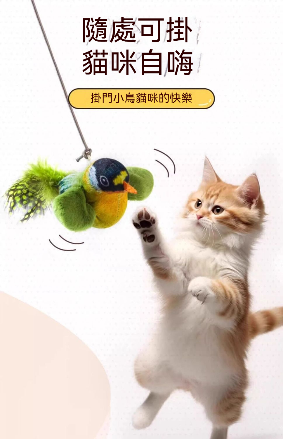 详情图6
