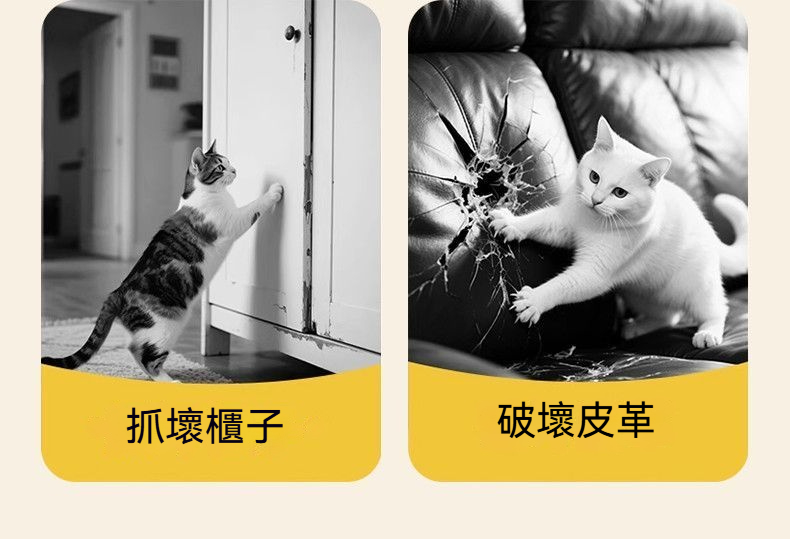 详情图5