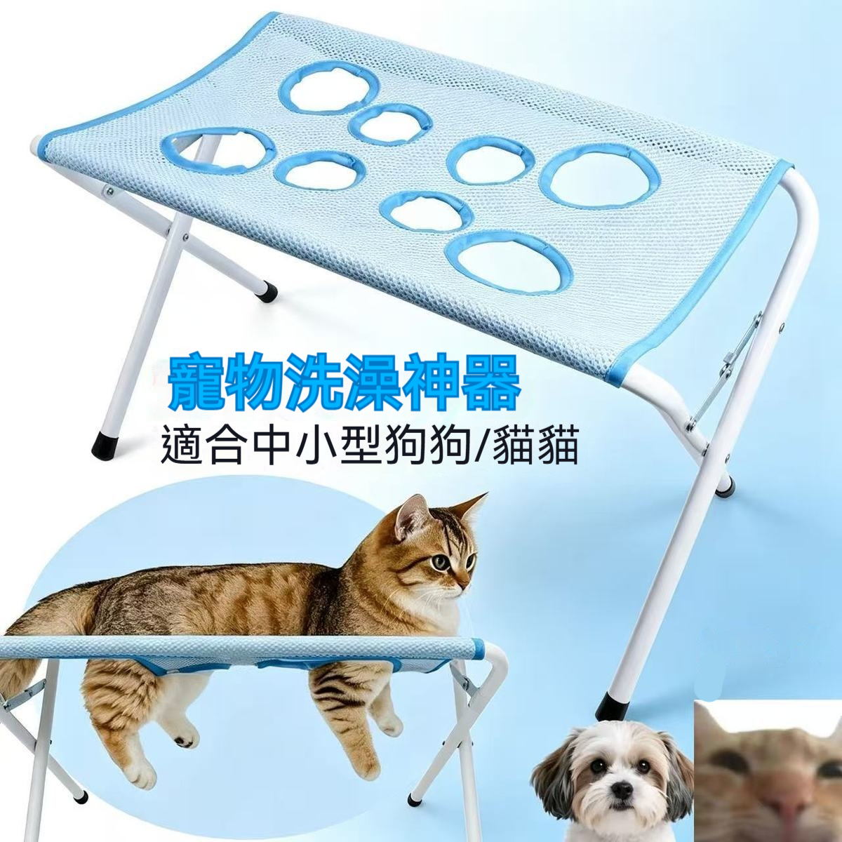 详情图5