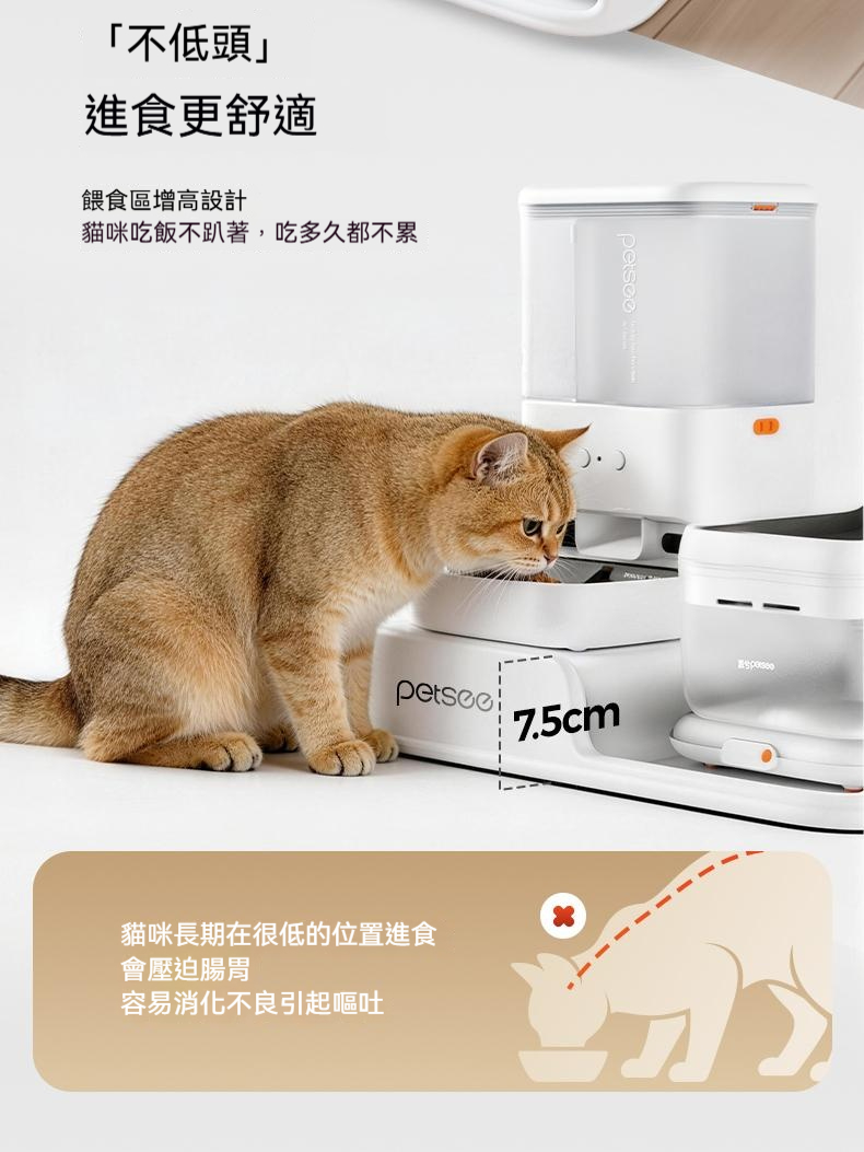 详情图5