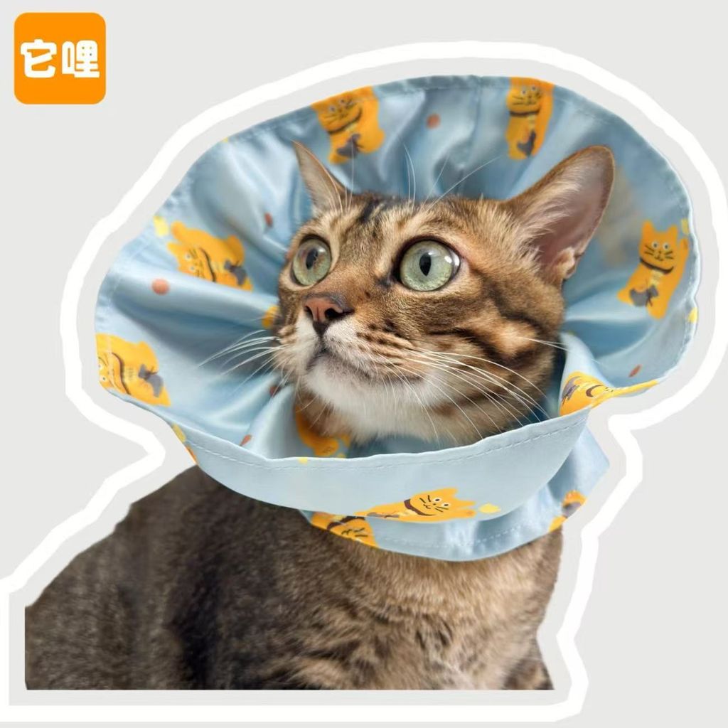 微信图片_20260304175507_134_24