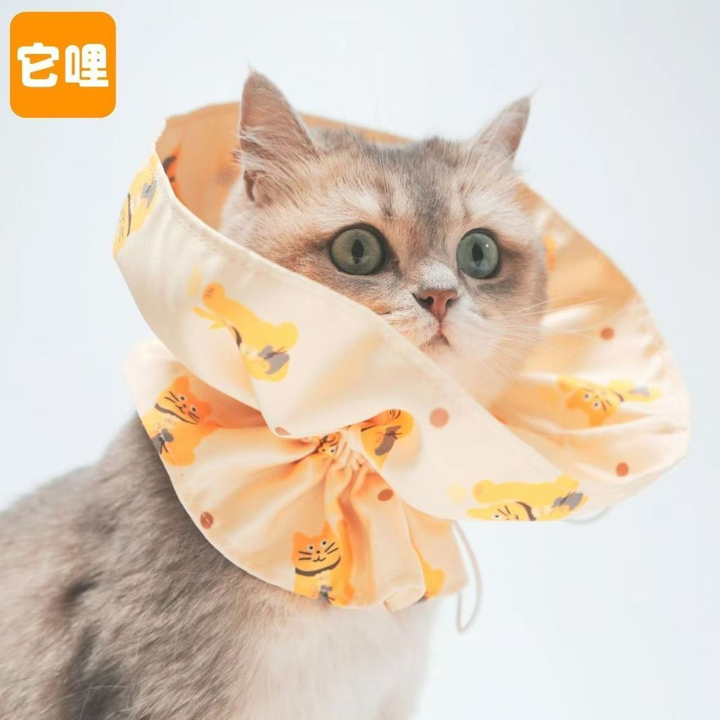 微信图片_20260304175504_132_24