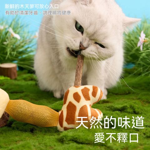微信图片_20260416094744
