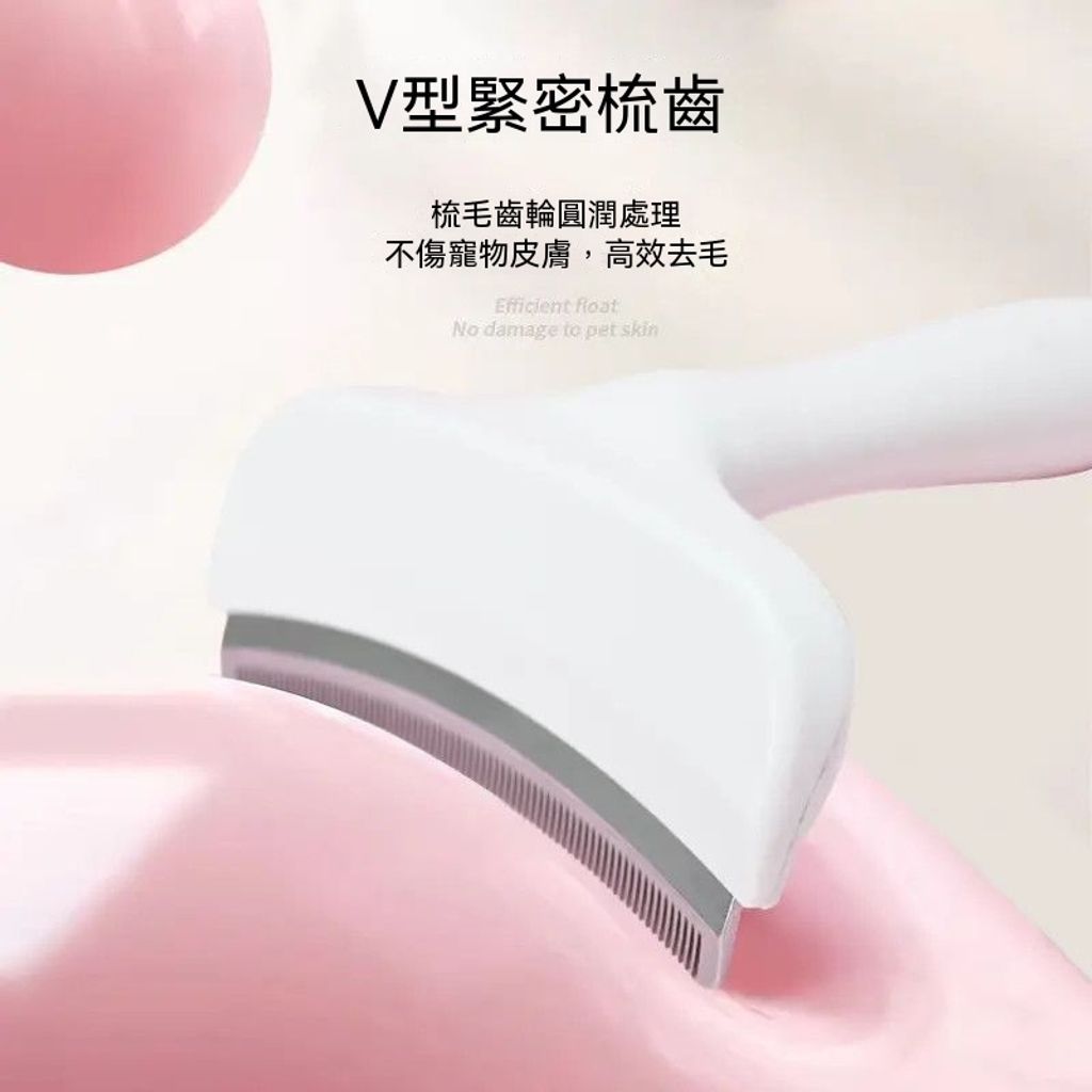 主图5