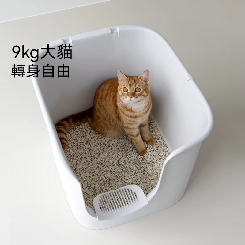 主图2