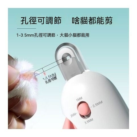 主图4