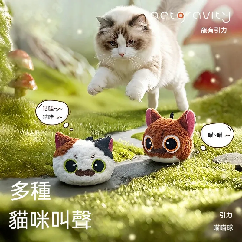 主图2