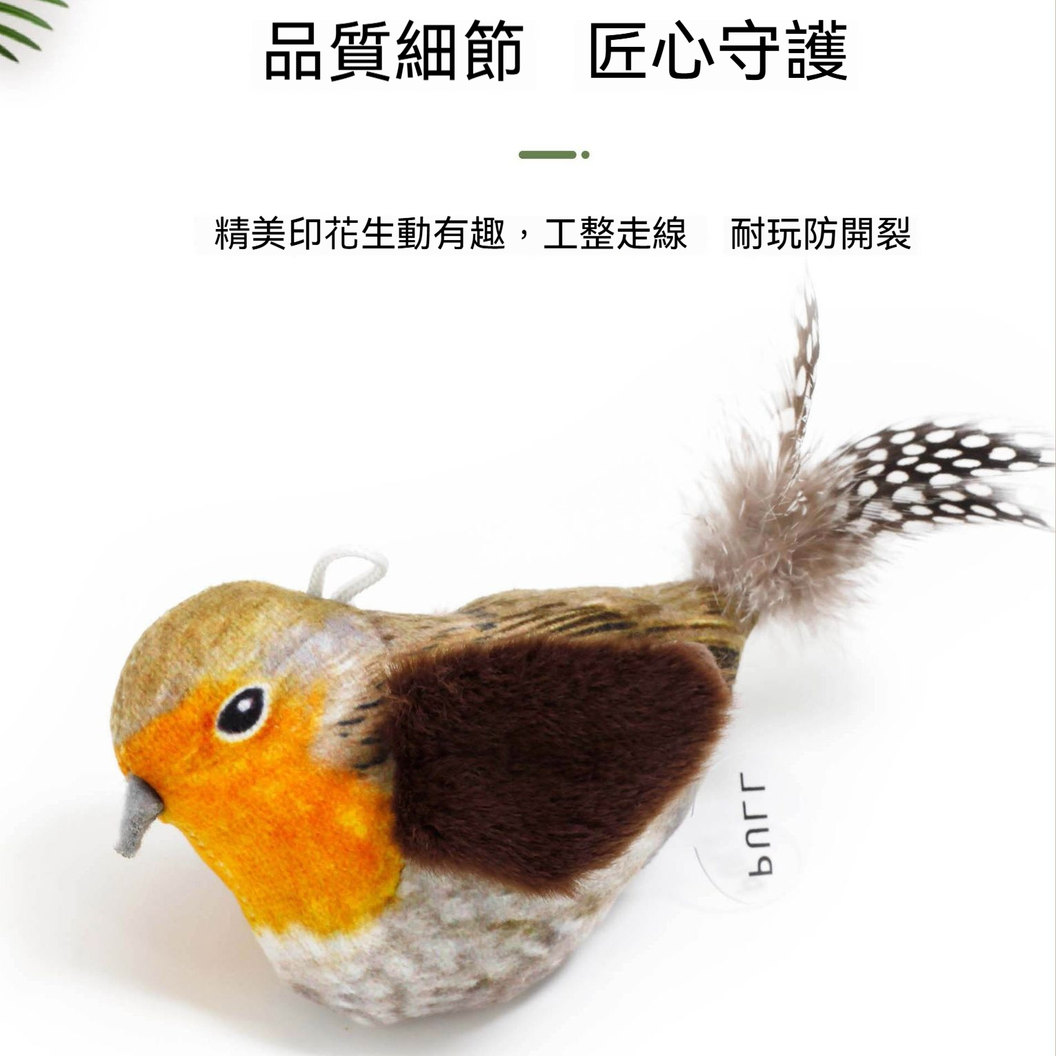 主图2