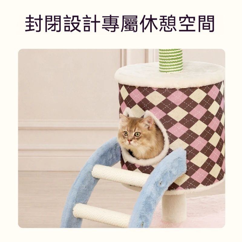 主图5
