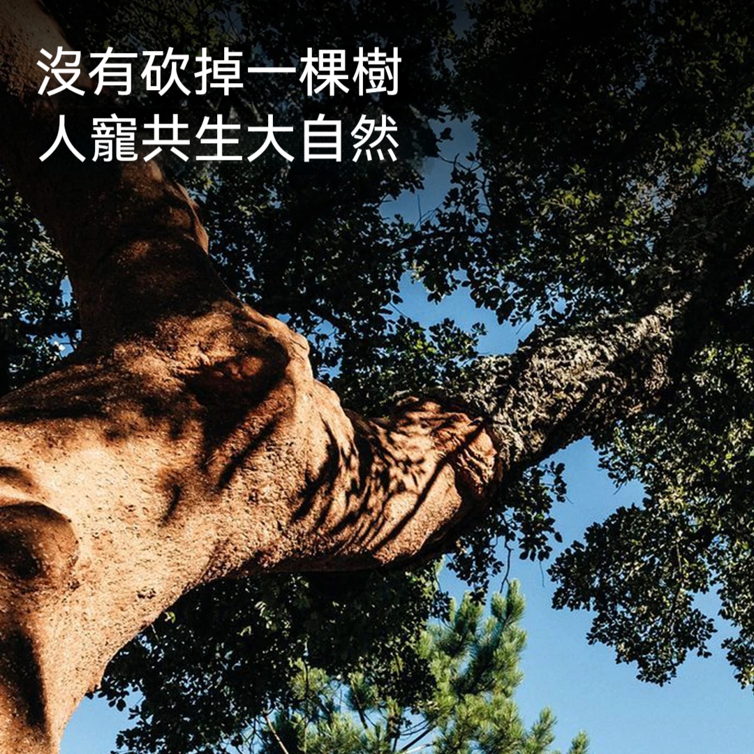 主图5