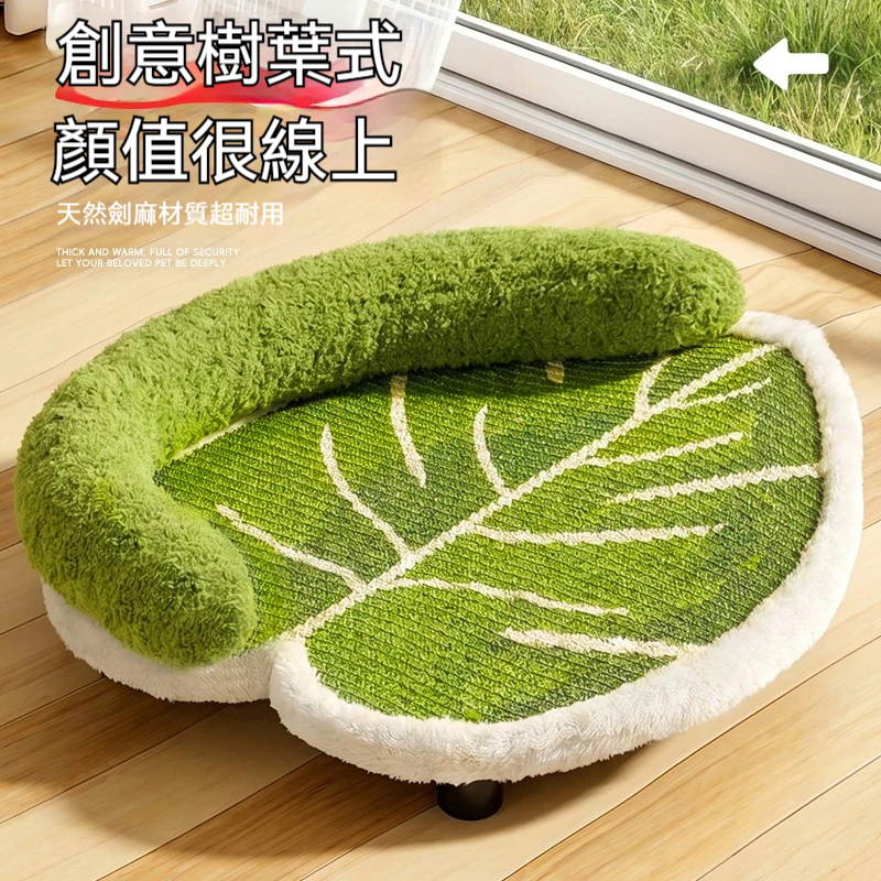 主图2