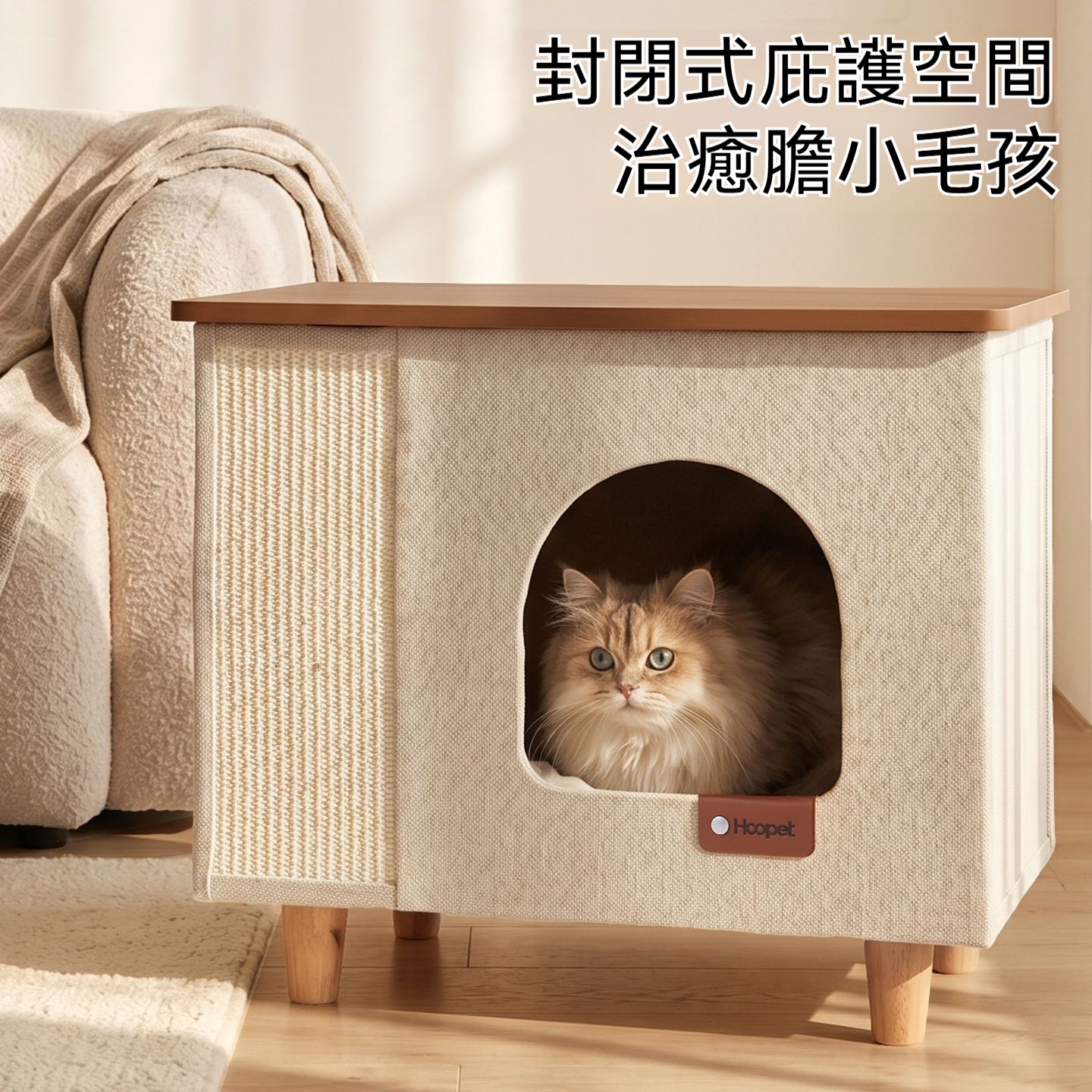 主图3