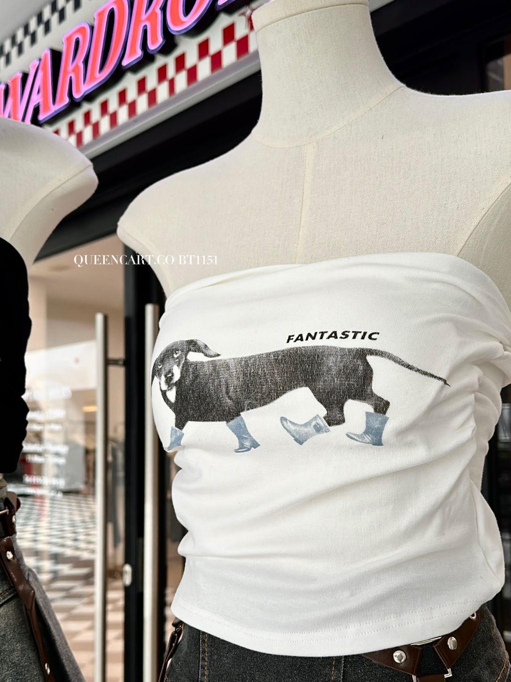 image_D88C3D4C-4ECD-4601-920E-464559132F97_1764321937