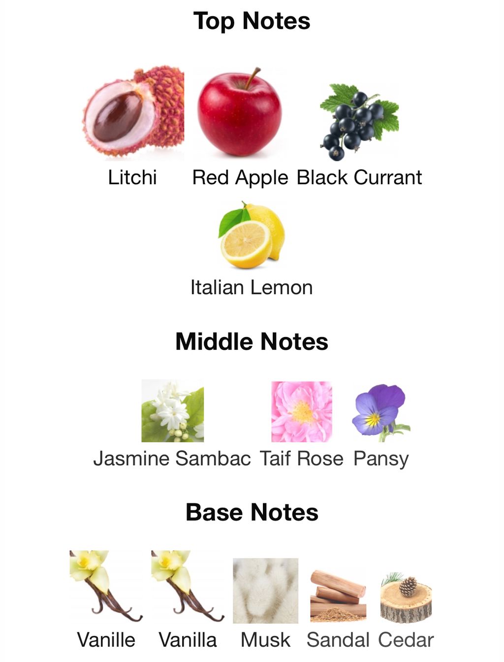 image_A3F1145E-2AE2-48AB-ACC1-16F906939FC5_1766490681