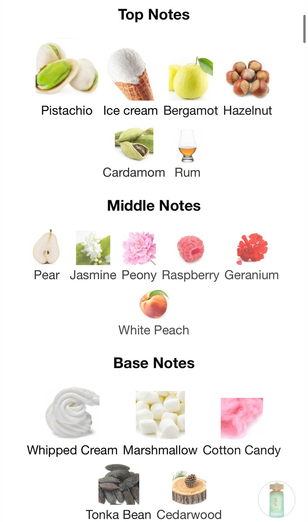 image_608DF61C-1BC6-4375-A2FB-4F425EB1C9CD_1766490775