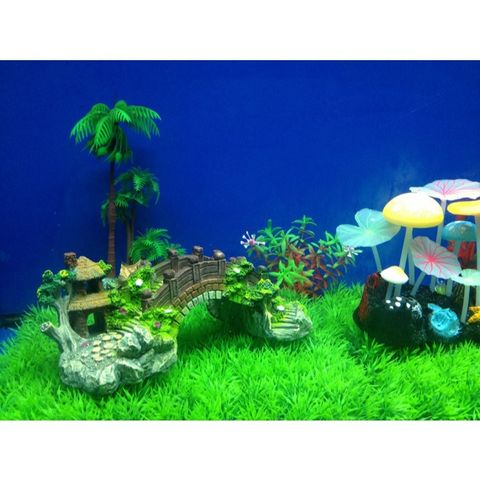 tw-11134207-7r98p-lvrao43ig6hje6