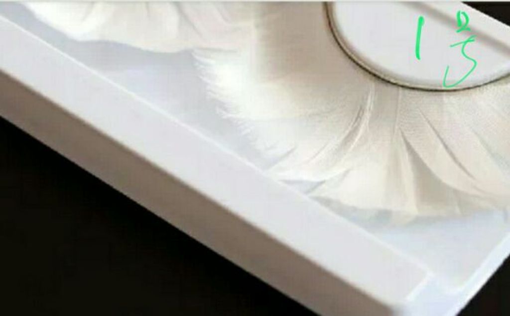 c5513265059f6729a444303f2a100041