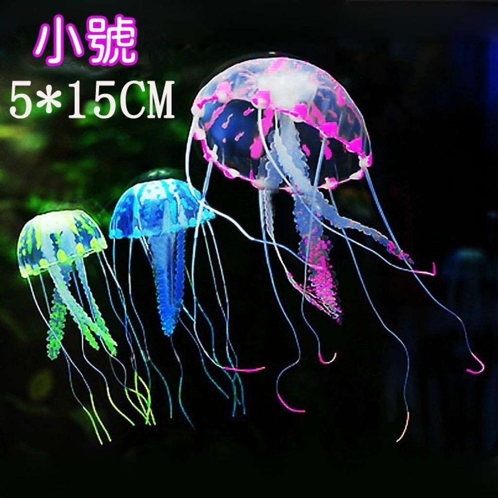 tw-11134207-7r992-lvrao43ilscy09