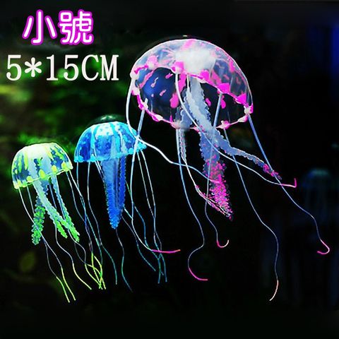 tw-11134207-7r992-lvrao43ilscy09