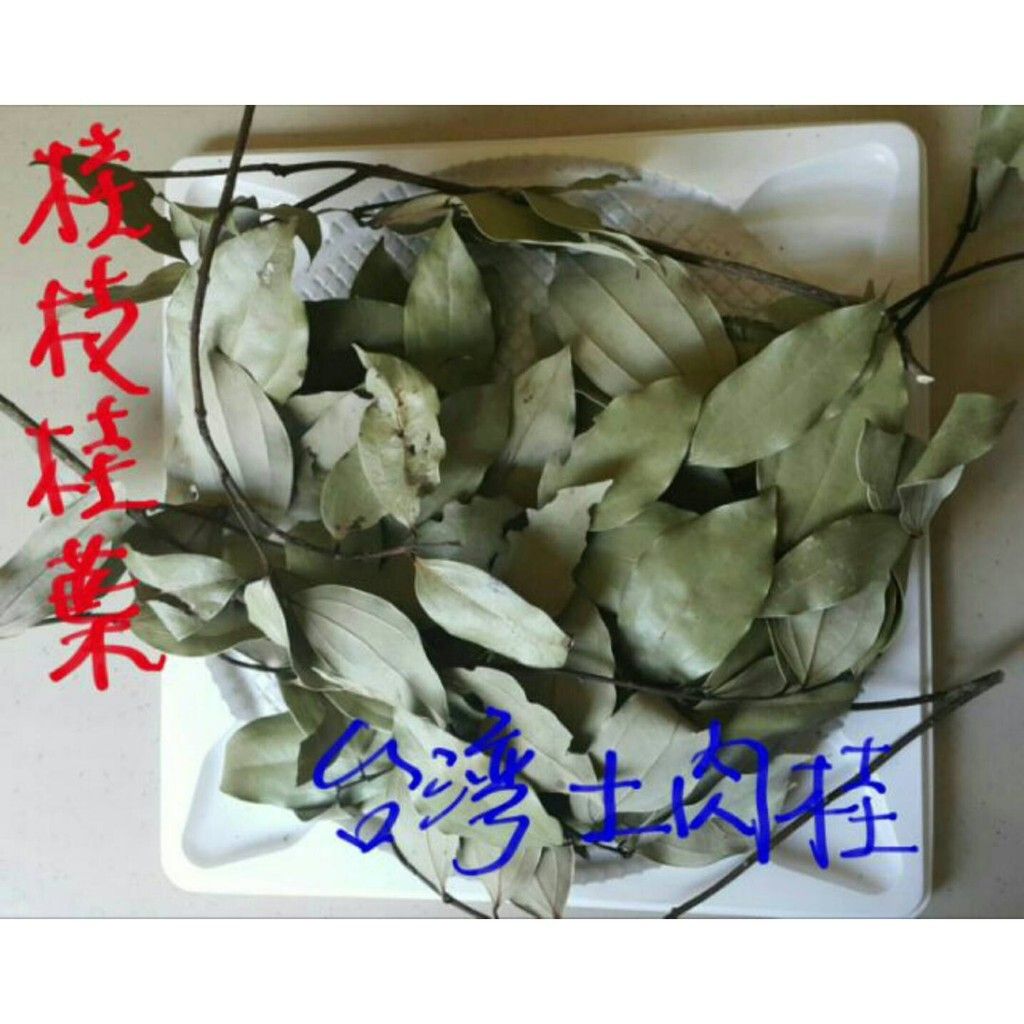 9d7c972e30d7cbed568a6bb01a44f181