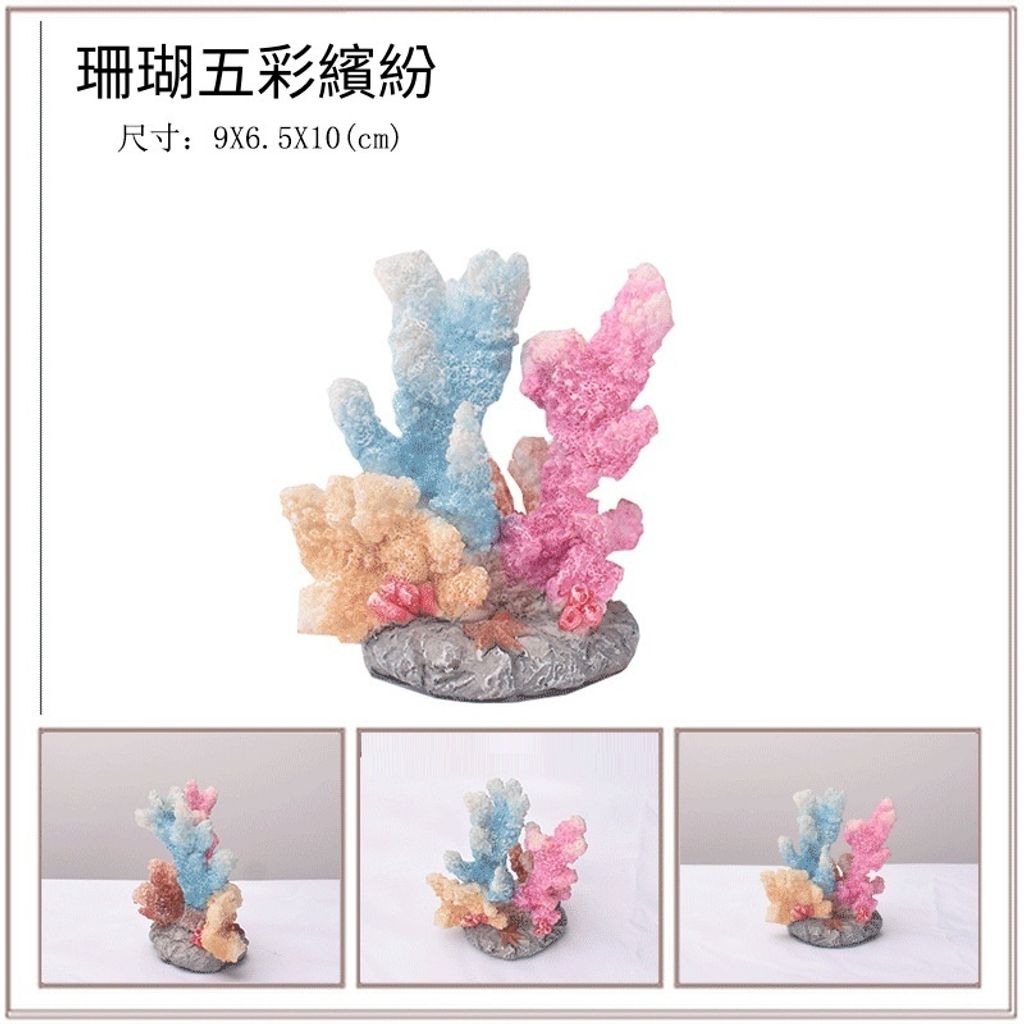 tw-11134207-7r98s-lwei50mzx89y55