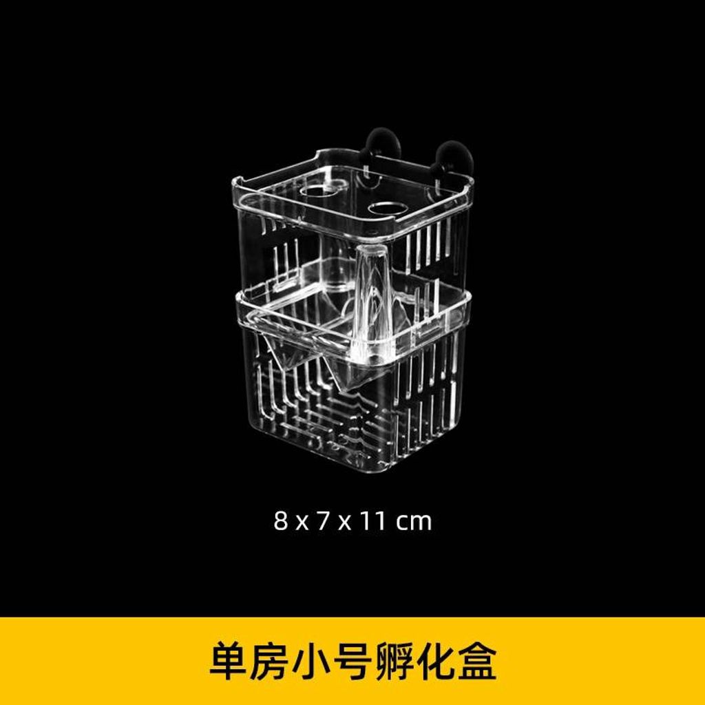 tw-11134207-7qul9-lgxkteetj7l55c