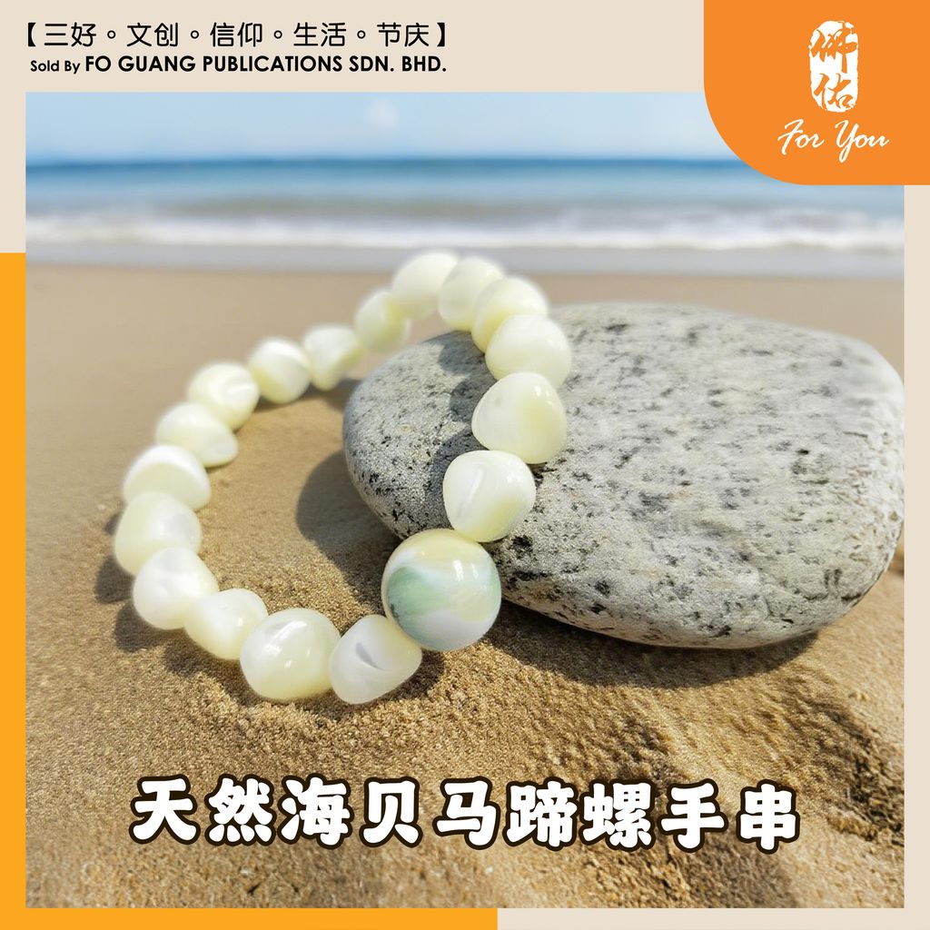 天然海贝马蹄螺手串 （10-15mm）