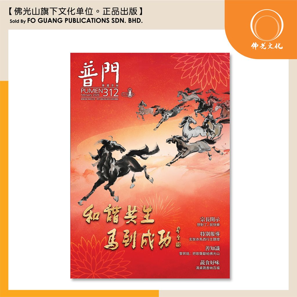 普门 312 template