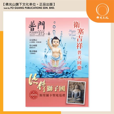 普門杂志 315 template