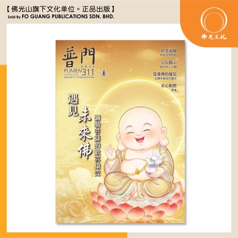 普门 311 template