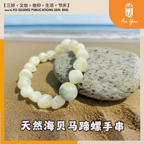 天然海贝马蹄螺手串 （10-15mm）