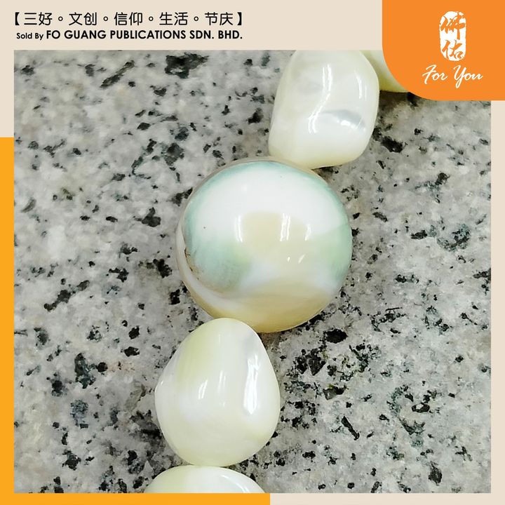 天然海贝马蹄螺手串 （10-15mm） 2