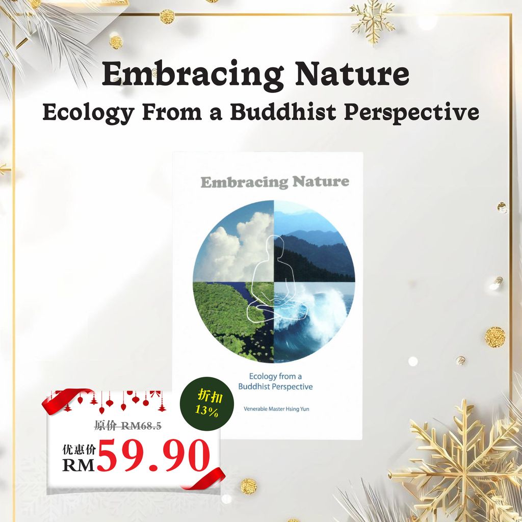 圣诞佛系推荐礼物social media post-19